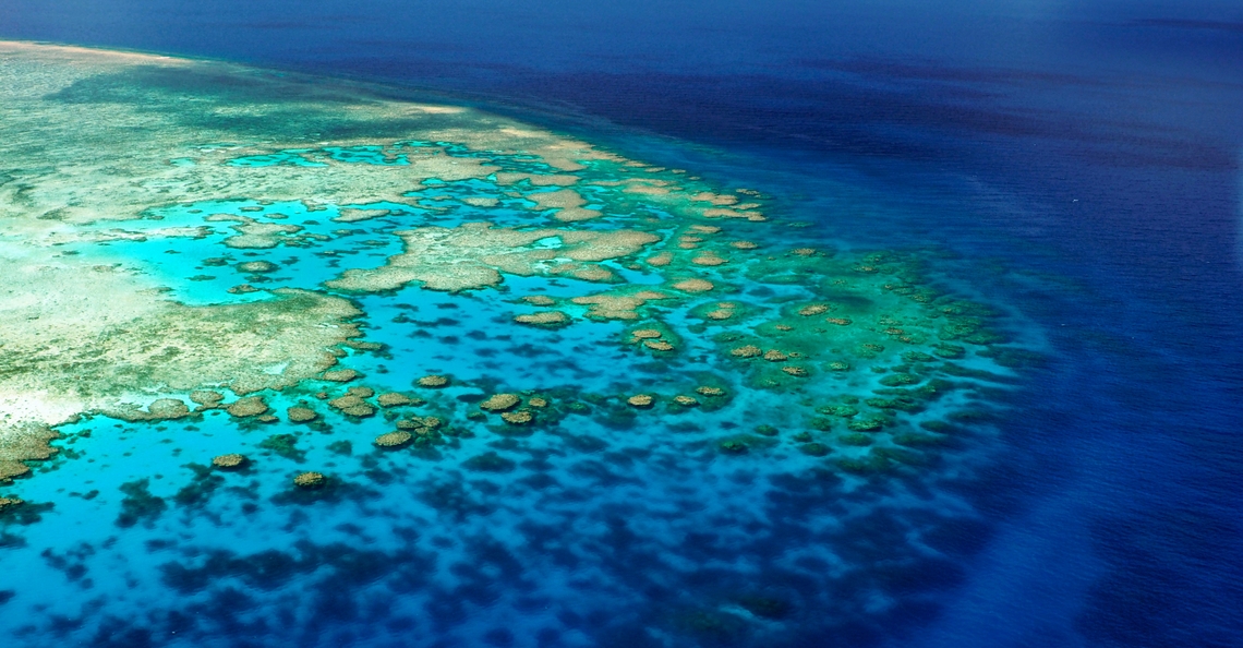 1576489948-great-barrier-reef-dronedeploy-inspectie-australie-drones-2019-1.jpg