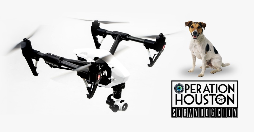 drones_sporen_zwerfhonden_op