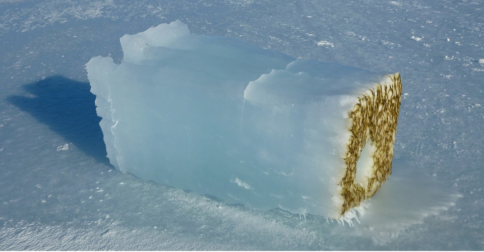 ijs_algen_drone_antarctica_water_zeehonden_torpedo