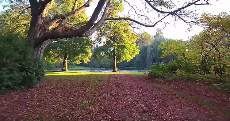 Herfst in het Wantijpark in Dordrecht