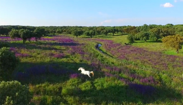 Geheime hoekjes in Spanje gefilmd met DJI Phantom 3 Professional