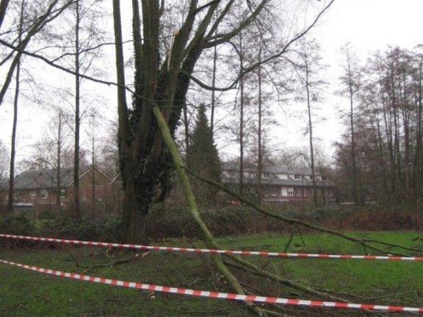 man-uit-helmond-brabant-zaagt-takken-boom-af-om-drone-te-redden-quadcopter-2016